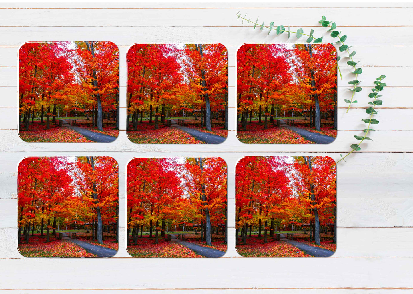 Beautiful Fall Foliage Northeast USA Coasters Wood & Rubber - Set of 6 Coasters