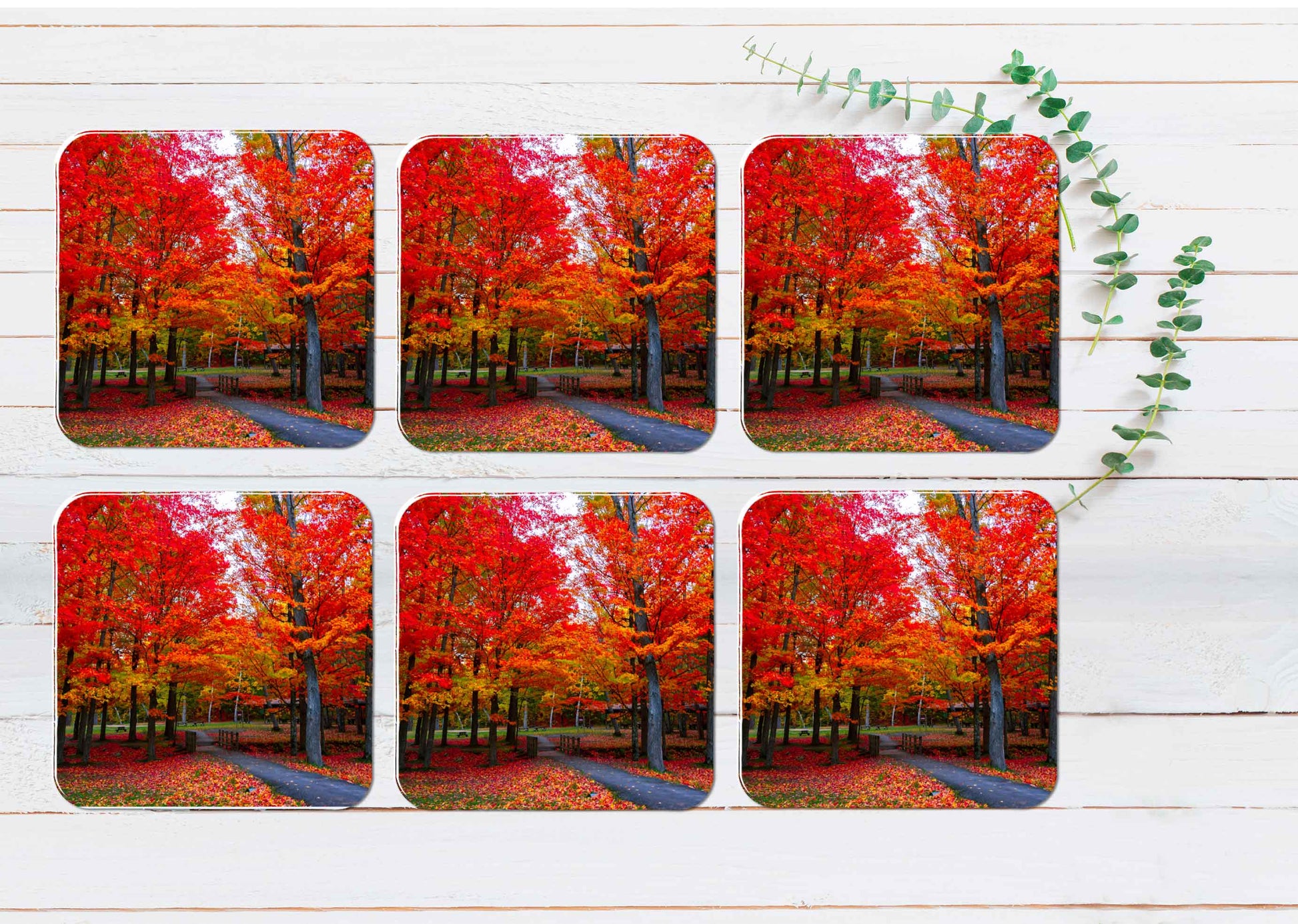 Beautiful Fall Foliage Northeast USA Coasters Wood & Rubber - Set of 6 Coasters