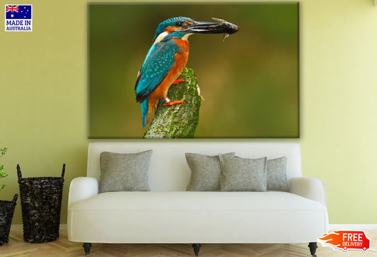 King Fisher Bird with Fish Photograph Print 100% Australian Made