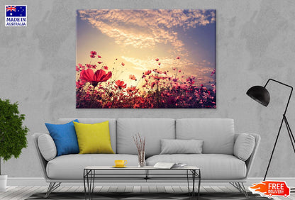 Pink & Red Cosmos Flowers Field Photograph Print 100% Australian Made