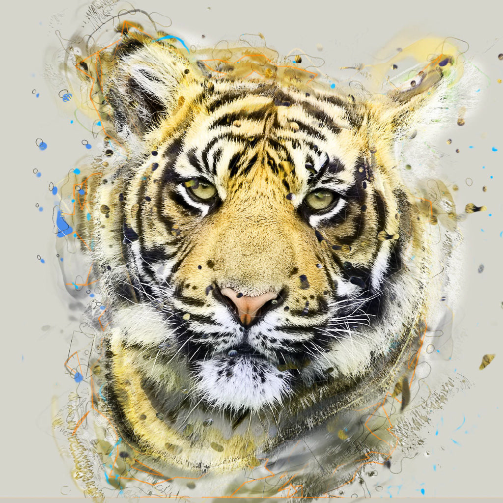 Square Canvas Tiger Portrait Digital Art High Quality Print 100% Australian Made