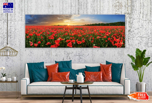 Panoramic Canvas Red Poppy Field View Photograph High Quality 100% Australian Made Wall Canvas Print Ready to Hang