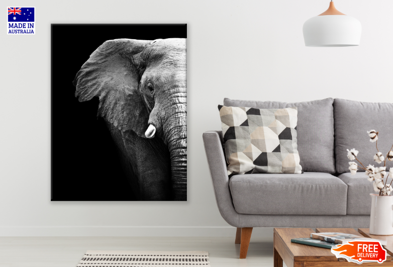 Elephant Face Clouseup B&W Photograph Print 100% Australian Made