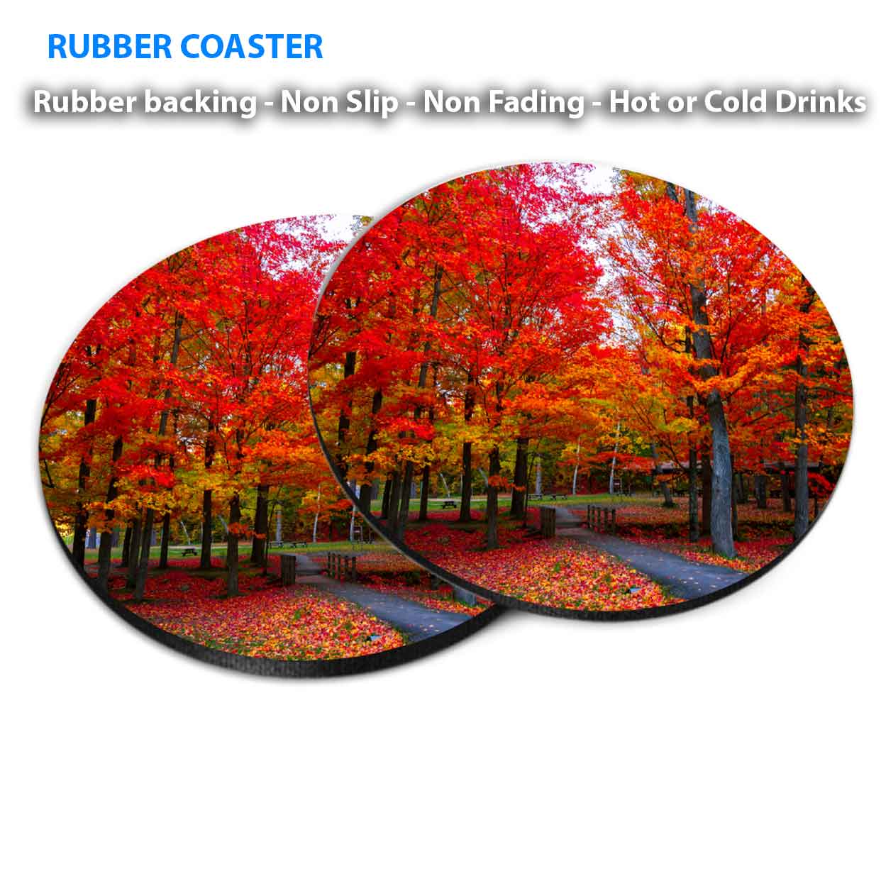 Beautiful Fall Foliage Northeast USA Coasters Wood & Rubber - Set of 6 Coasters