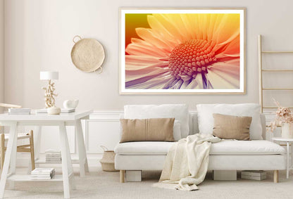 White Daisy Closeup Sunset View Photograph Home Decor Premium Quality Poster Print Choose Your Sizes