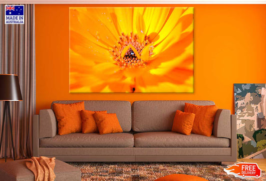 Marigold Flower Closeup View Photograph Print 100% Australian Made