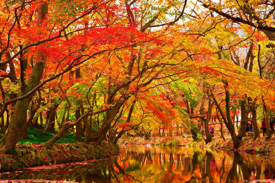 Autumn Trees Covered River View Photograph Print 100% Australian Made