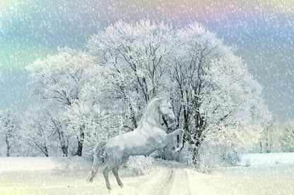 White Horse in Snow Painting Print 100% Australian Made