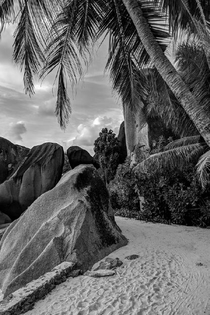 La Digue Island Beach Shore B&W Photograph Print 100% Australian Made