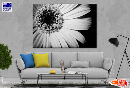 Sunflower Closeup B&W View Photograph Print 100% Australian Made