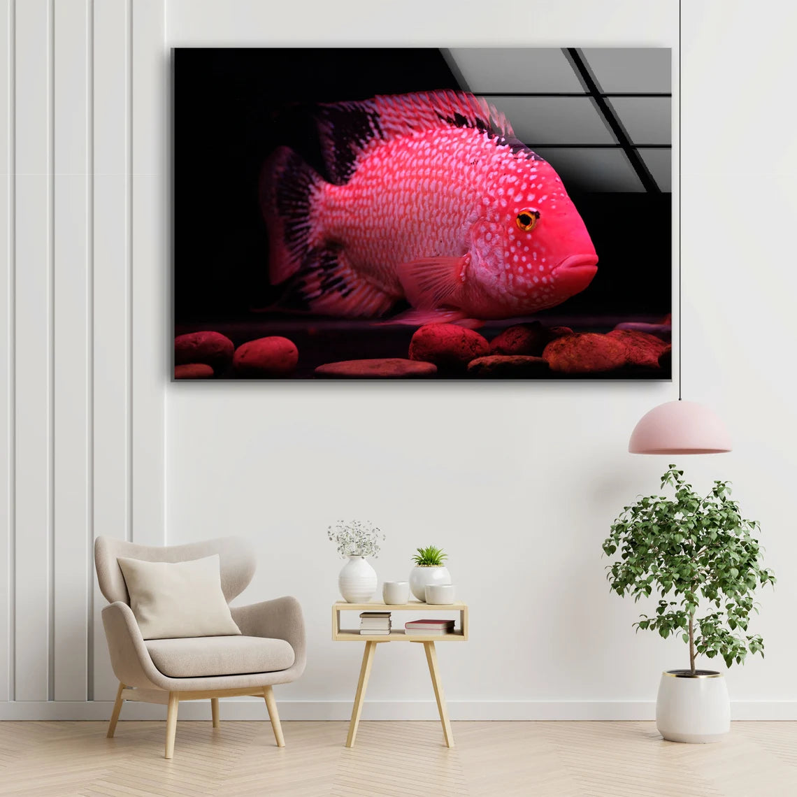 Pink Fish Closeup Photograph Acrylic Glass Print Tempered Glass Wall Art 100% Made in Australia Ready to Hang