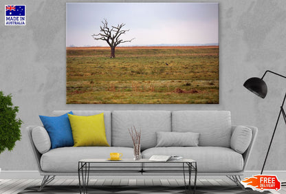 Dead Single Tree on Field Photograph Print 100% Australian Made