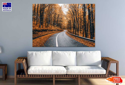 Orange Autumn Trees & Road View Photograph Print 100% Australian Made