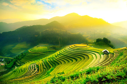 Wallpaper Murals Peel and Stick Removable Stunning Rice Fields Scenery Photograph High Quality