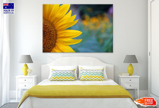 Sunflower Petals Closeup View Photograph Print 100% Australian Made