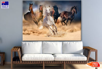 Running Horses Photograph Print 100% Australian Made