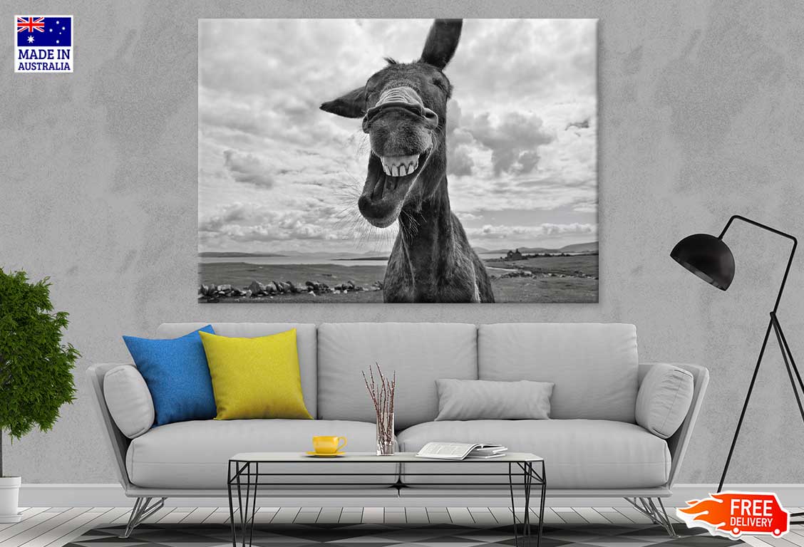 Donkey Face Closeup B&W View Photograph Print 100% Australian Made