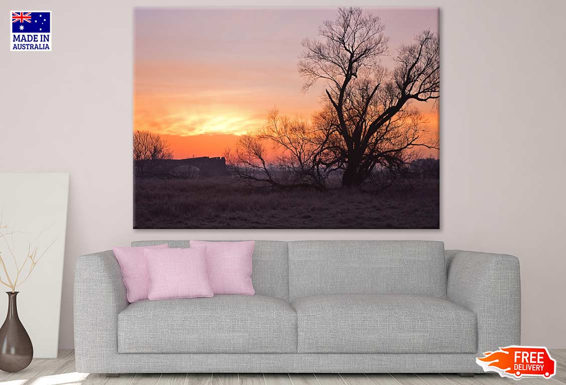 Dry Tree & Sunset Scenery Photograph Print 100% Australian Made