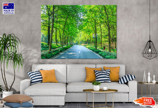 Green Trees Covered Road View Photograph Print 100% Australian Made