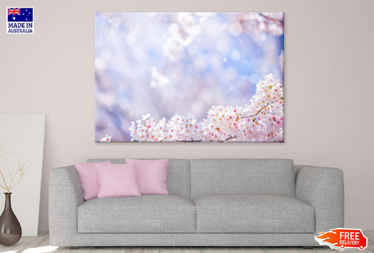 Cherry Blossom Flower Branch View Photograph Print 100% Australian Made