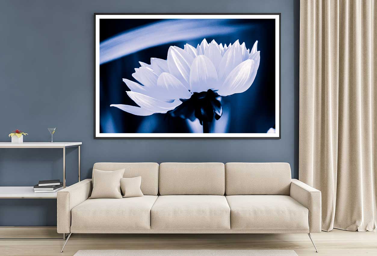 White Flower on Dark Side View Photograph Home Decor Premium Quality Poster Print Choose Your Sizes