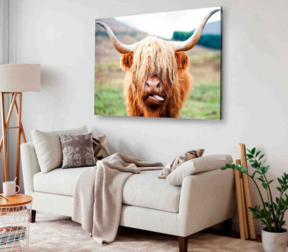 Bella Home Highland Cow Face Closeup Print Canvas Ready to hang