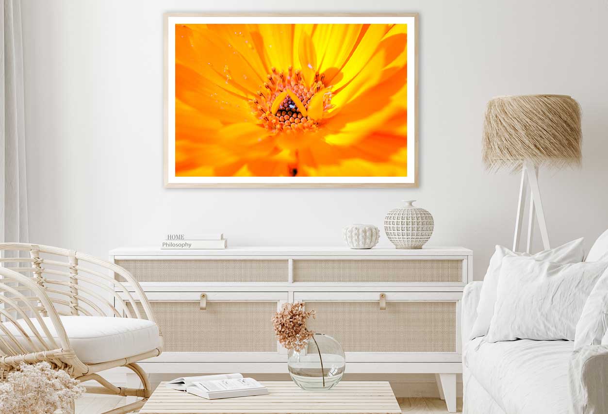 Marigold Flower Macro Photograph Home Decor Premium Quality Poster Print Choose Your Sizes