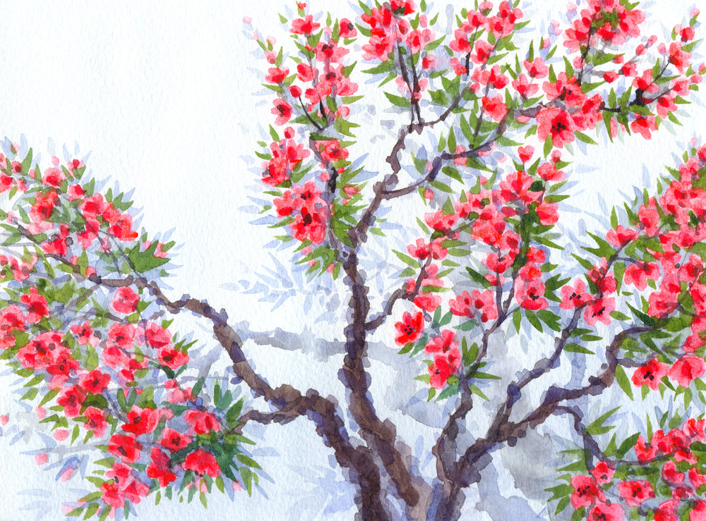 Wallpaper Murals Peel and Stick Removable The Bright Red Flowers & Lush Green Foliage Watercolor Painting High Quality