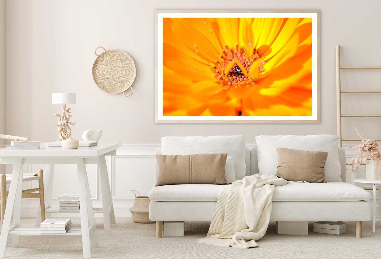 Marigold Flower Macro Photograph Home Decor Premium Quality Poster Print Choose Your Sizes