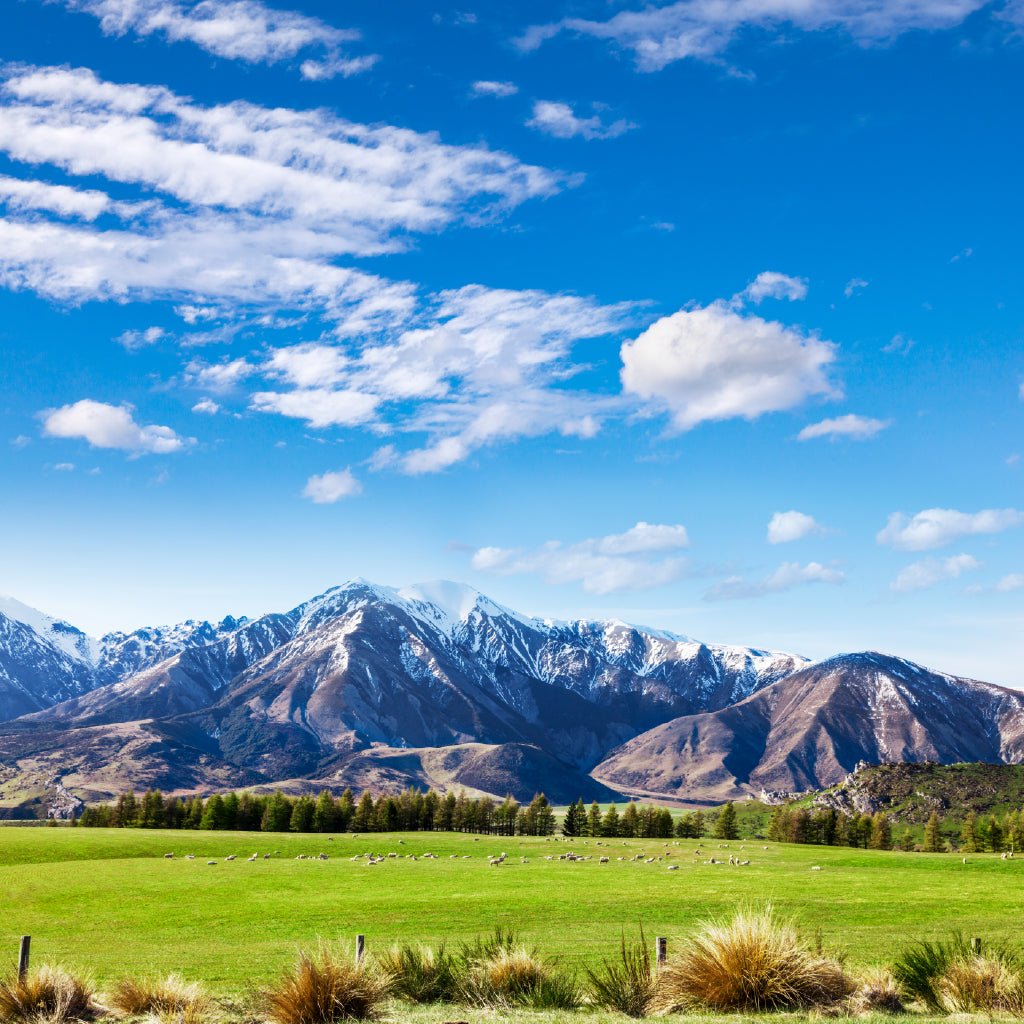 Square Canvas Canterbury Landscape Scenery View Photograph High Quality Print 100% Australian Made