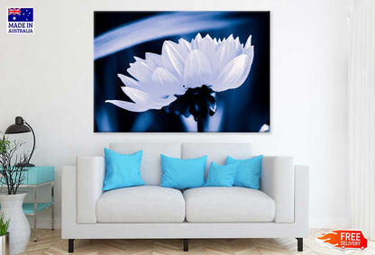 White Flower on Dark Side View Photograph Print 100% Australian Made