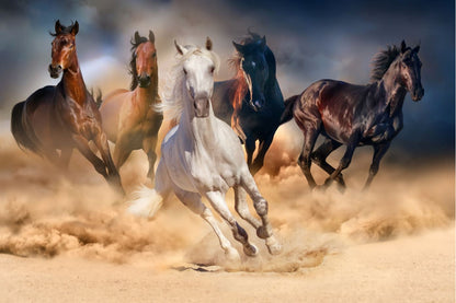 Running Horses on Sand Photograph Home Decor Premium Quality Poster Print Choose Your Sizes