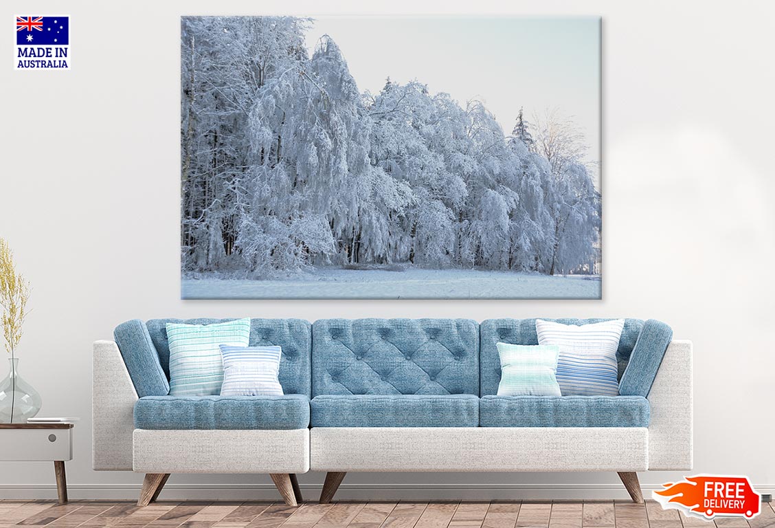 Snow Covered Forest Photograph Print 100% Australian Made