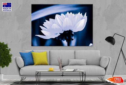 White Flower on Dark Side View Photograph Print 100% Australian Made