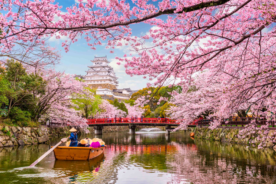 Bella Home Japan at Himeji Castle in Spring Season Print Canvas Ready to hang