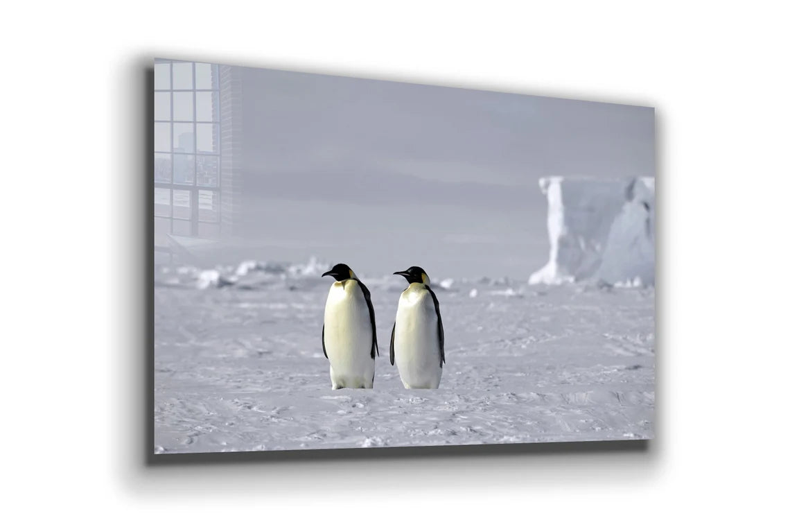 Penguins on Ice Field Print Tempered Glass Wall Art 100% Made in Australia Ready to Hang