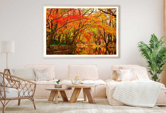 Autumn Trees Covered River View Photograph Home Decor Premium Quality Poster Print Choose Your Sizes