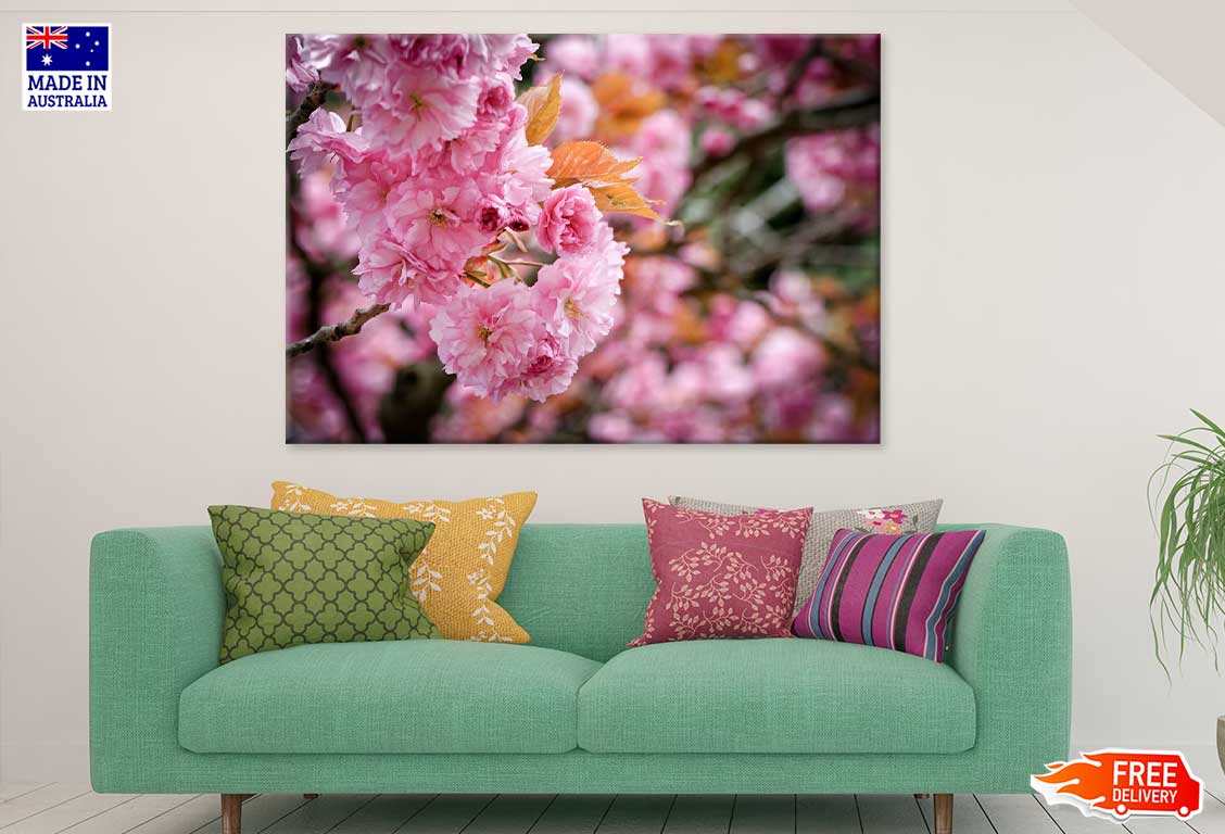 Pink Sakura Flowers Branch View Photograph Print 100% Australian Made