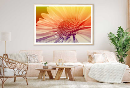 White Daisy Closeup Sunset View Photograph Home Decor Premium Quality Poster Print Choose Your Sizes