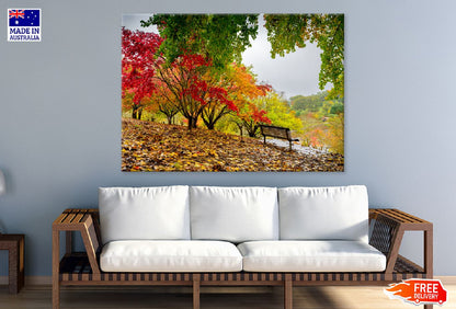 Autumn Garden with Wooden Chair Photograph Print 100% Australian Made