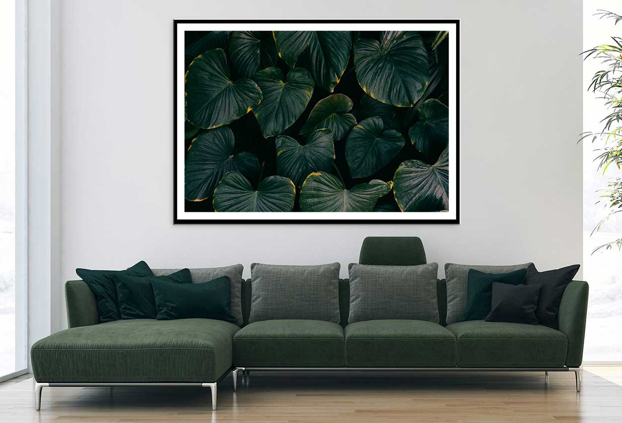 Dark Green Alocasia Leaves Photograph Home Decor Premium Quality Poster Print Choose Your Sizes