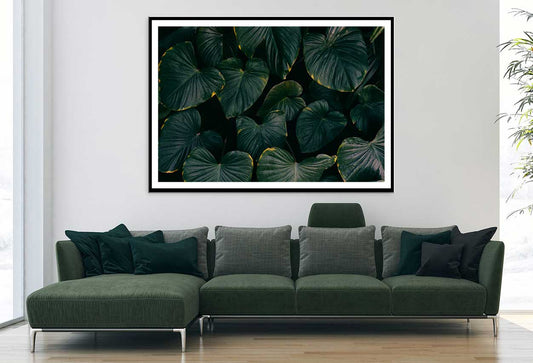 Dark Green Alocasia Leaves Photograph Home Decor Premium Quality Poster Print Choose Your Sizes