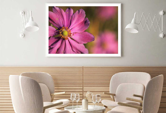 Pink Cosmos Flower Closeup View Photograph Home Decor Premium Quality Poster Print Choose Your Sizes