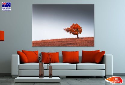 Alone Red Autumn Tree on Hill Photograph Print 100% Australian Made