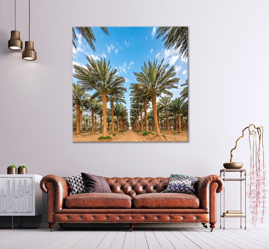 Square Canvas Date Palm Trees View Photograph High Quality Print 100% Australian Made