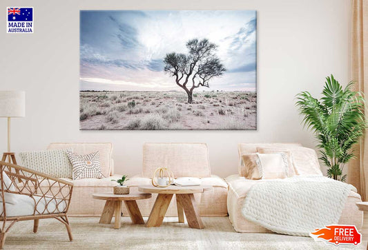 Alone Hakea Tree View Photograph Print 100% Australian Made