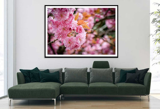 Pink Sakura Flowers Branch View Photograph Home Decor Premium Quality Poster Print Choose Your Sizes