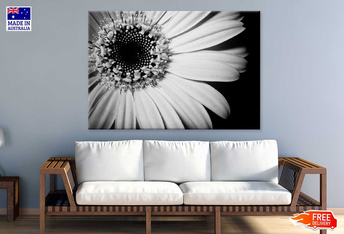 Sunflower Closeup B&W View Photograph Print 100% Australian Made