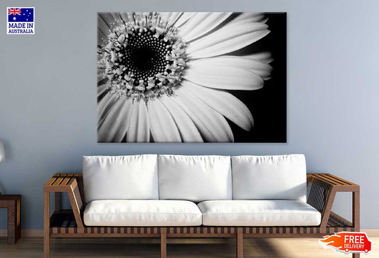 Sunflower Closeup B&W View Photograph Print 100% Australian Made