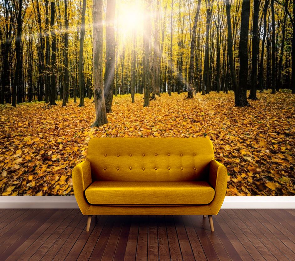 Wallpaper Murals Peel and Stick Removable Autumn Forest High Quality